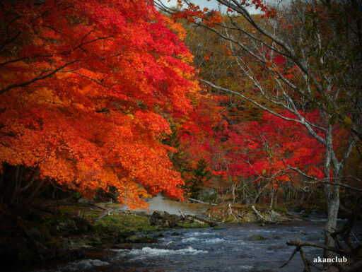2025年秋の阿寒川