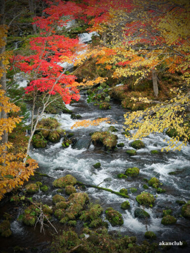 2025年秋の阿寒川